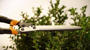 Make Your Garden Look Adorable With Pruning Shears
