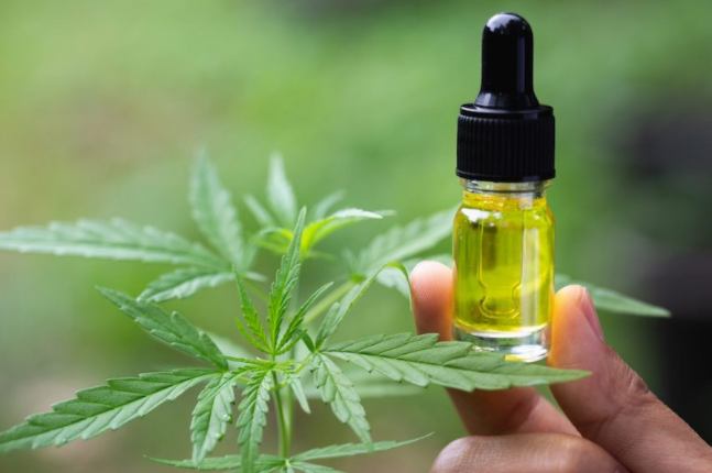 Here’s Your Guide To Finding The Right CBD oil For Dogs Canada